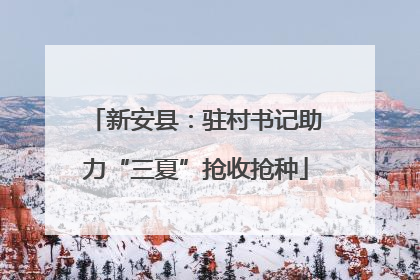 新安县：驻村书记助力“三夏”抢收抢种