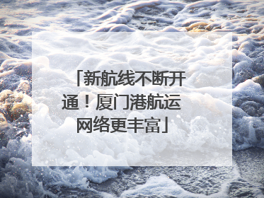 新航线不断开通！厦门港航运网络更丰富