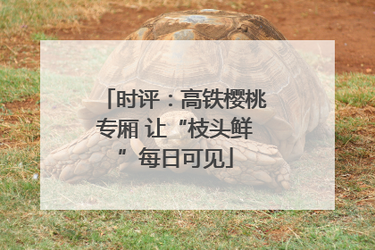 时评：高铁樱桃专厢 让“枝头鲜”每日可见