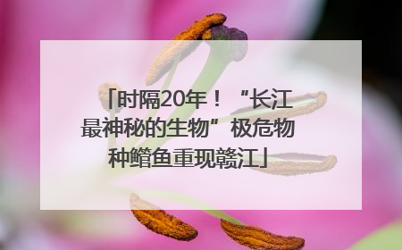 时隔20年！“长江最神秘的生物”极危物种鳤鱼重现赣江