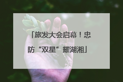 旅发大会启幕！忠防“双星”耀湖湘