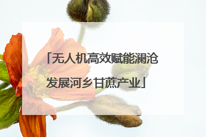 无人机高效赋能澜沧发展河乡甘蔗产业