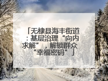 无棣县海丰街道：基层治理“向内求解”，解锁群众“幸福密码”