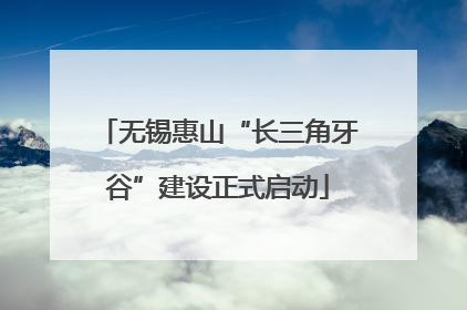 无锡惠山“长三角牙谷”建设正式启动