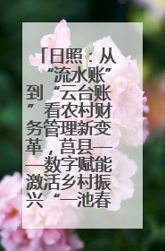 日照：从“流水账”到“云台账”看农村财务管理新变革，莒县——数字赋能激活乡村振兴“一池春水”
