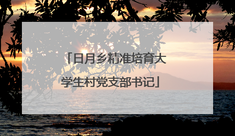 日月乡精准培育大学生村党支部书记