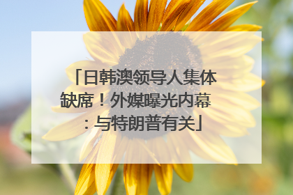 日韩澳领导人集体缺席！外媒曝光内幕：与特朗普有关