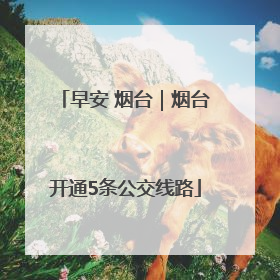 早安 烟台｜烟台开通5条公交线路