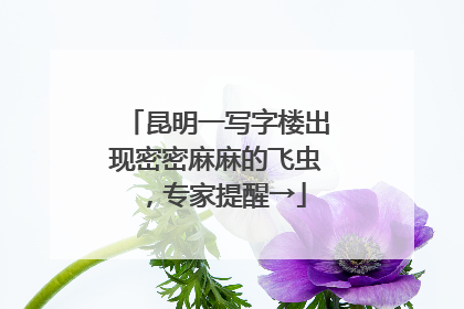 昆明一写字楼出现密密麻麻的飞虫，专家提醒→