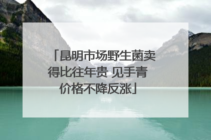 昆明市场野生菌卖得比往年贵 见手青价格不降反涨