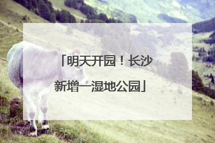 明天开园！长沙新增一湿地公园