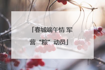 春城端午情 军营“粽”动员