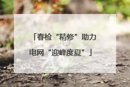 春检“精修”助力电网“迎峰度夏”