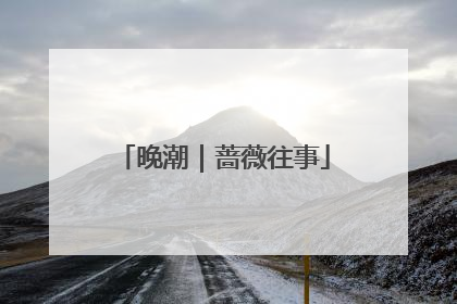 晚潮｜蔷薇往事