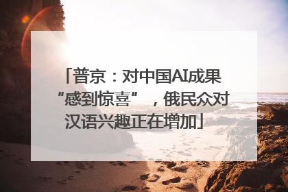 普京：对中国AI成果“感到惊喜”，俄民众对汉语兴趣正在增加