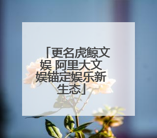 更名虎鲸文娱 阿里大文娱锚定娱乐新生态