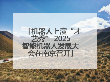 机器人上演“才艺秀” 2025智能机器人发展大会在南京召开