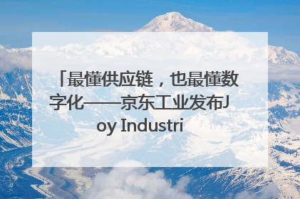 最懂供应链，也最懂数字化——京东工业发布Joy Industrial 重塑工业未来