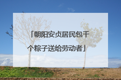 朝阳安贞居民包千个粽子送给劳动者
