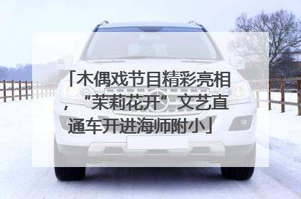 木偶戏节目精彩亮相，“茉莉花开”文艺直通车开进海师附小