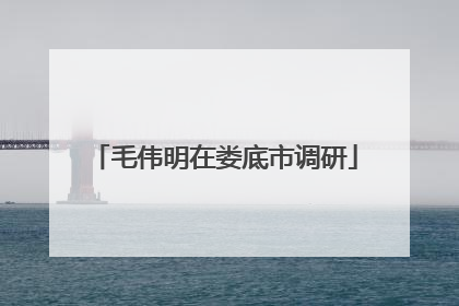 毛伟明在娄底市调研