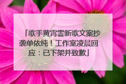 歌手黄霄雲新歌文案抄袭单依纯！工作室凌晨回应：已下架并致歉