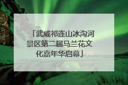 武威祁连山冰沟河景区第二届马兰花文化嘉年华启幕