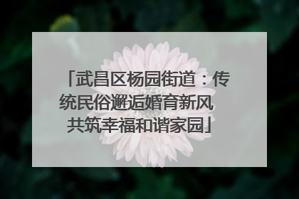 武昌区杨园街道：传统民俗邂逅婚育新风 共筑幸福和谐家园