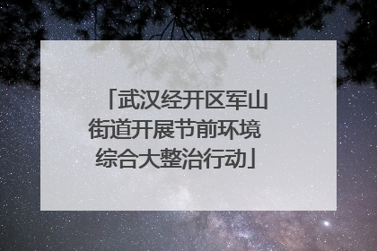 武汉经开区军山街道开展节前环境综合大整治行动