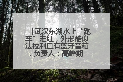武汉东湖水上“跑车”走红，外形酷似法拉利且有蓝牙音箱，负责人：高峰期一两百人排队