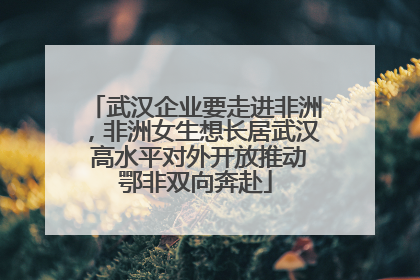 武汉企业要走进非洲，非洲女生想长居武汉 高水平对外开放推动鄂非双向奔赴