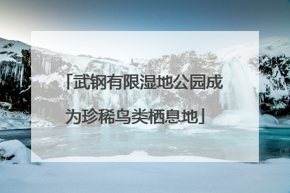 武钢有限湿地公园成为珍稀鸟类栖息地