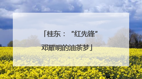 桂东：“红先锋”邓耀明的油茶梦