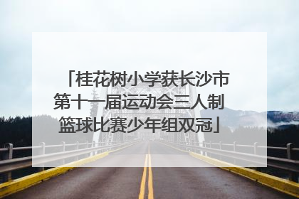 桂花树小学获长沙市第十一届运动会三人制篮球比赛少年组双冠