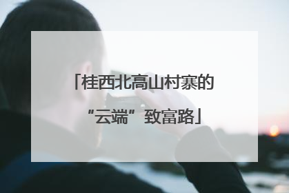 桂西北高山村寨的“云端”致富路