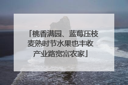 桃香满园、蓝莓压枝 麦熟时节水果也丰收 产业路宽富农家