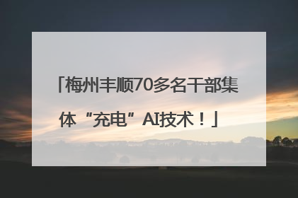 梅州丰顺70多名干部集体“充电”AI技术！