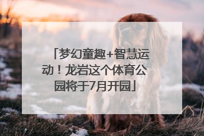 梦幻童趣+智慧运动！龙岩这个体育公园将于7月开园