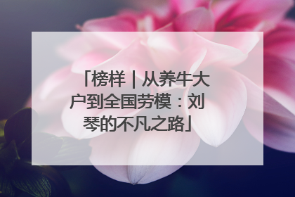 榜样｜从养牛大户到全国劳模：刘琴的不凡之路
