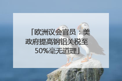 欧洲议会官员：美政府提高钢铝关税至50%毫无道理