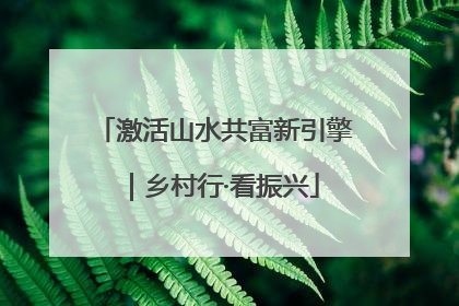 激活山水共富新引擎｜乡村行·看振兴