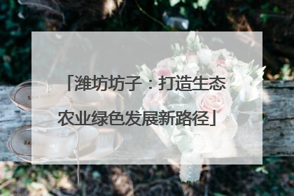 潍坊坊子：打造生态农业绿色发展新路径