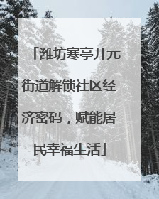 潍坊寒亭开元街道解锁社区经济密码，赋能居民幸福生活