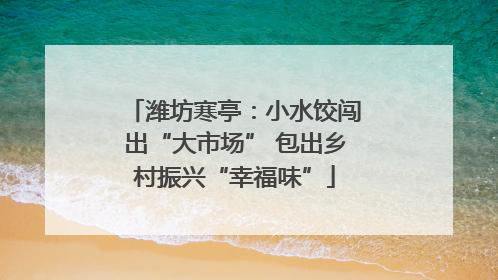 潍坊寒亭：小水饺闯出“大市场” 包出乡村振兴“幸福味”