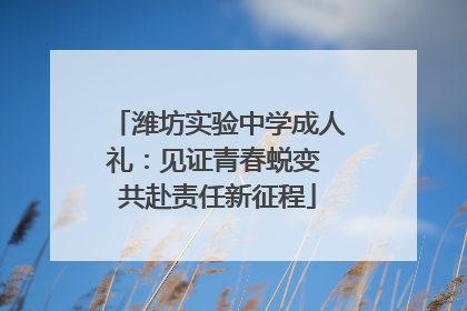 潍坊实验中学成人礼：见证青春蜕变 共赴责任新征程