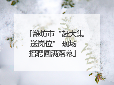 潍坊市“赶大集 送岗位” 现场招聘圆满落幕