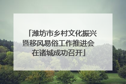 潍坊市乡村文化振兴暨移风易俗工作推进会在诸城成功召开