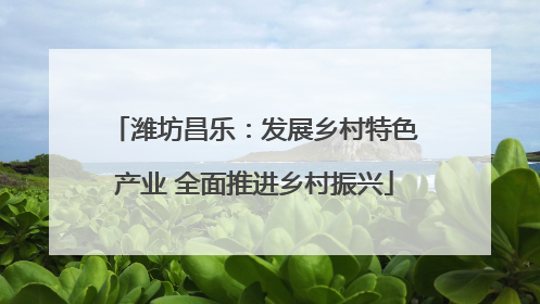潍坊昌乐：发展乡村特色产业 全面推进乡村振兴