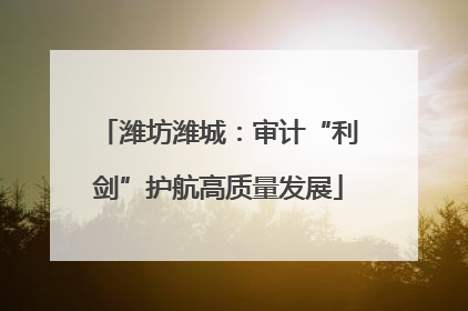 潍坊潍城：审计“利剑”护航高质量发展