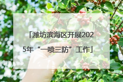 潍坊滨海区开展2025年“一喷三防”工作